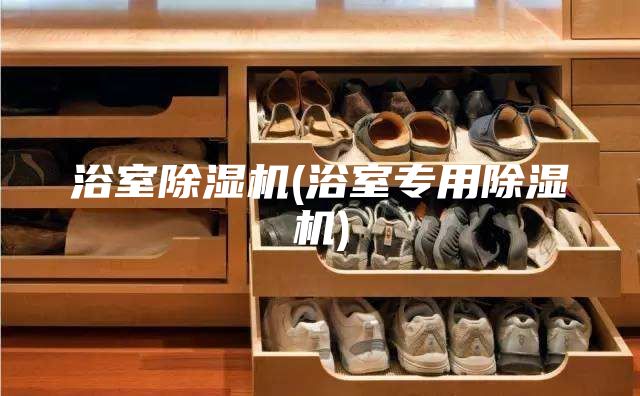 浴室除濕機(浴室專用除濕機)