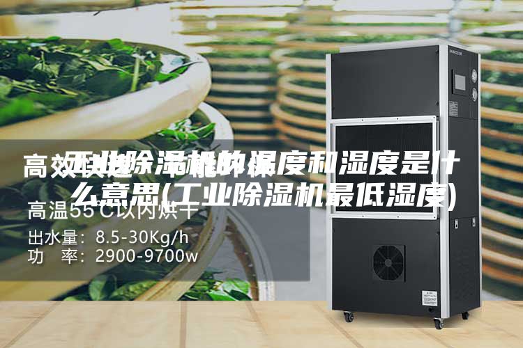 工業除濕機的溫度和濕度是什么意思(工業除濕機最低濕度)
