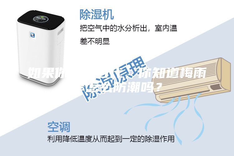 如果你生在古代，你知道梅雨季怎么防潮嗎？