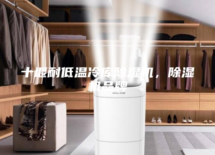十堰耐低溫冷庫除濕機，除濕機品牌