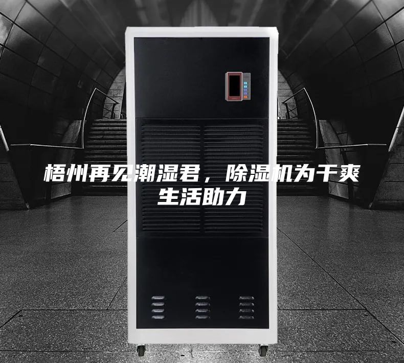 梧州再見潮濕君，除濕機(jī)為干爽生活助力