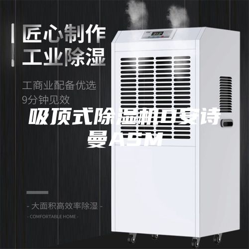 吸頂式除濕機(jī)D安詩(shī)曼ASM