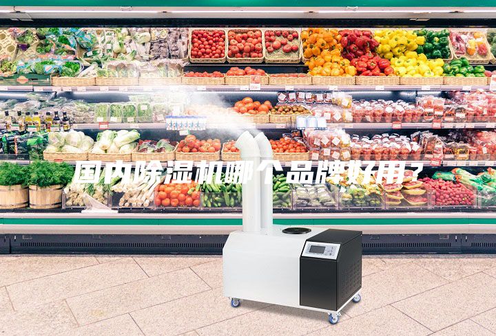 國內(nèi)除濕機(jī)哪個(gè)品牌好用？