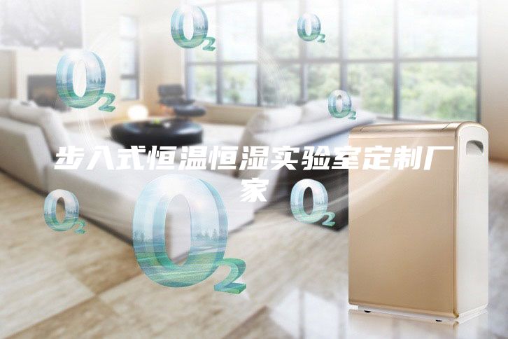 步入式恒溫恒濕實(shí)驗(yàn)室定制廠家