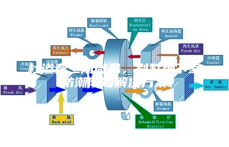 杜滲泰三防微晶，別墅地下室防潮防霉解決方案
