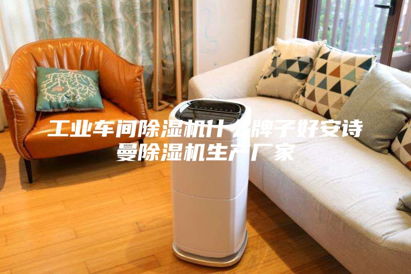 工業(yè)車間除濕機什么牌子好安詩曼除濕機生產廠家