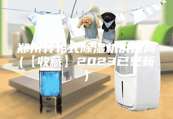 鄭州轉(zhuǎn)輪式除濕機供應(yīng)商(【收藏】2023已更新)