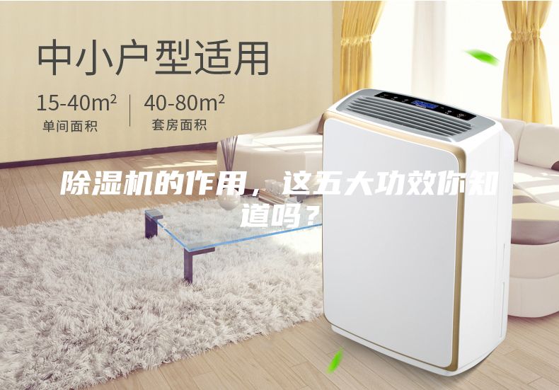 除濕機的作用，這五大功效你知道嗎？
