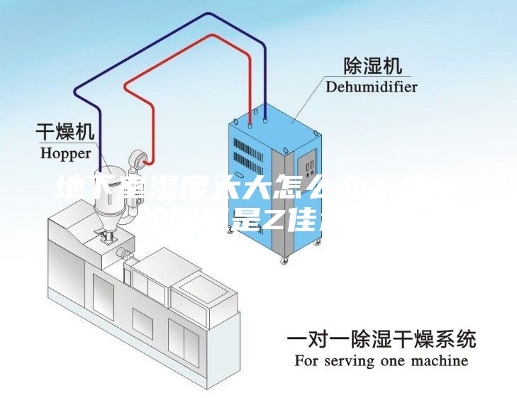 地下室濕度太大怎么辦？使用除濕機是Z佳選擇