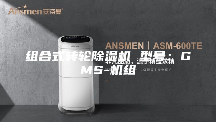 組合式轉(zhuǎn)輪除濕機(jī) 型號(hào):GMS-機(jī)組