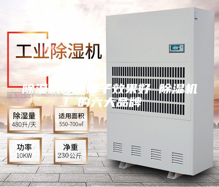 除濕機哪個牌子效果好 除濕機的六大品牌