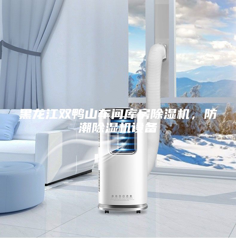 黑龍江雙鴨山車間庫房除濕機(jī),防潮除濕機(jī)設(shè)備