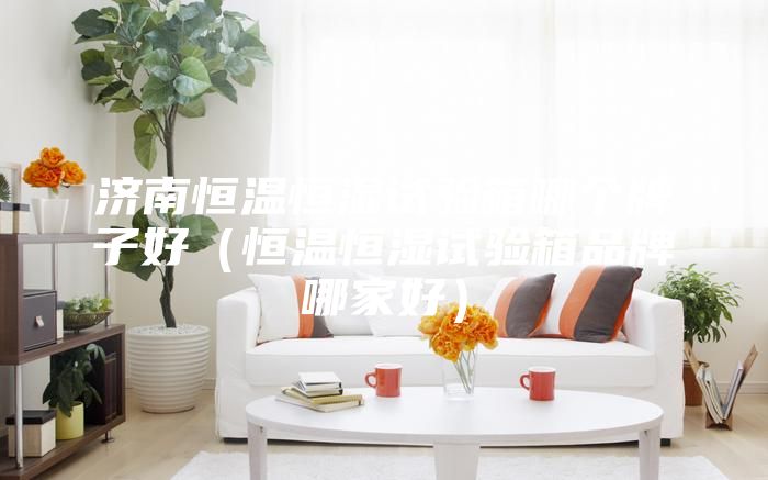濟南恒溫恒濕試驗箱哪個牌子好(恒溫恒濕試驗箱品牌哪家好)
