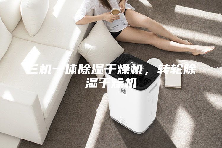 三機一體除濕干燥機,轉(zhuǎn)輪除濕干燥機