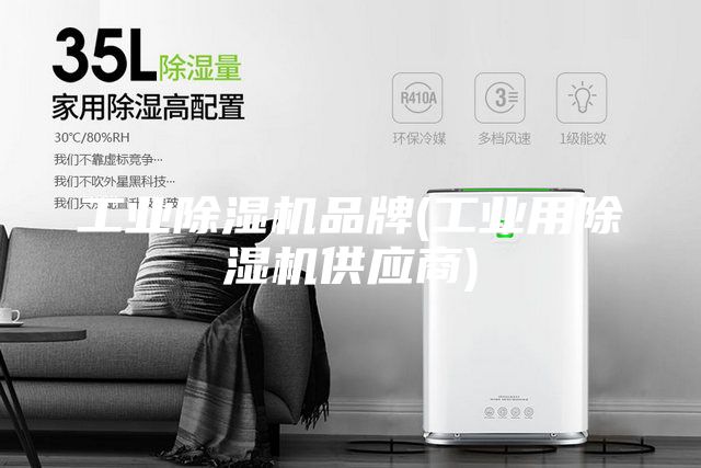 工業(yè)除濕機品牌(工業(yè)用除濕機供應商)