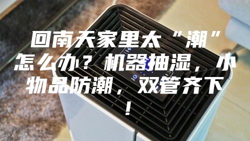 回南天家里太“潮”怎么辦？機器抽濕，小物品防潮，雙管齊下！