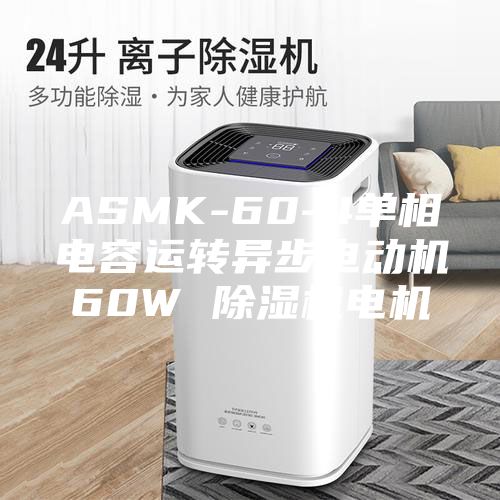 ASMK-60-4單相電容運轉(zhuǎn)異步電動機60W 除濕機電機