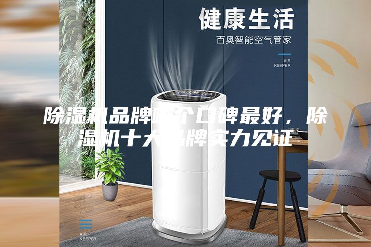 除濕機品牌哪個口碑最好，除濕機十大品牌實力見證