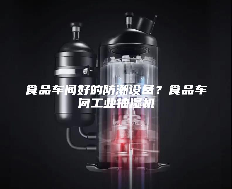 食品車間好的防潮設備？食品車間工業(yè)抽濕機