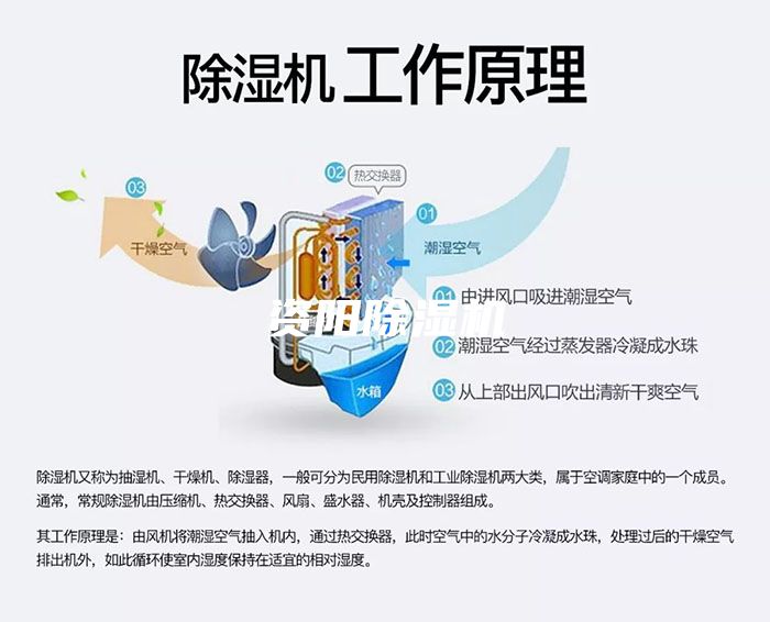 資陽(yáng)除濕機(jī)