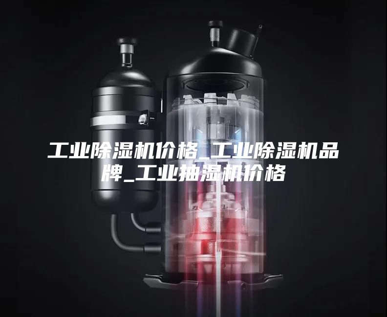 工業(yè)除濕機(jī)價(jià)格_工業(yè)除濕機(jī)品牌_工業(yè)抽濕機(jī)價(jià)格