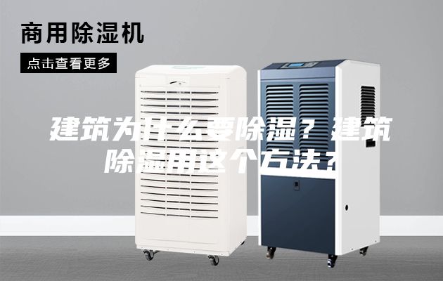 建筑為什么要除濕？建筑除濕用這個方法？