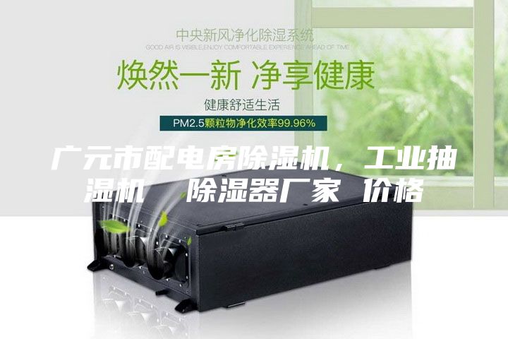 廣元市配電房除濕機(jī)，工業(yè)抽濕機(jī)  除濕器廠家 價格