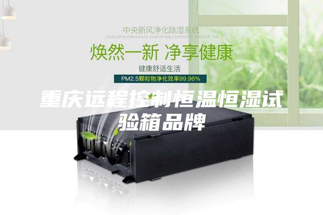 重慶遠(yuǎn)程控制恒溫恒濕試驗(yàn)箱品牌