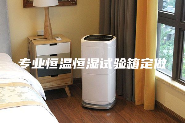 專業恒溫恒濕試驗箱定做