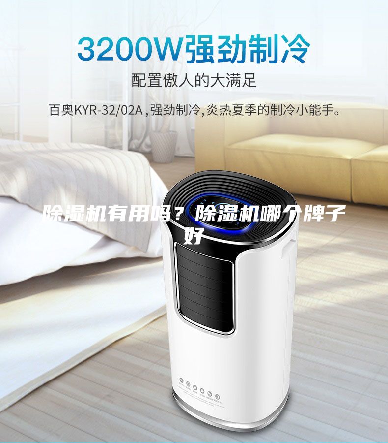 除濕機有用嗎？除濕機哪個牌子好
