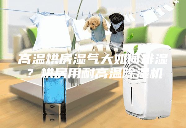 高溫烘房濕氣大如何排濕？烘房用耐高溫除濕機