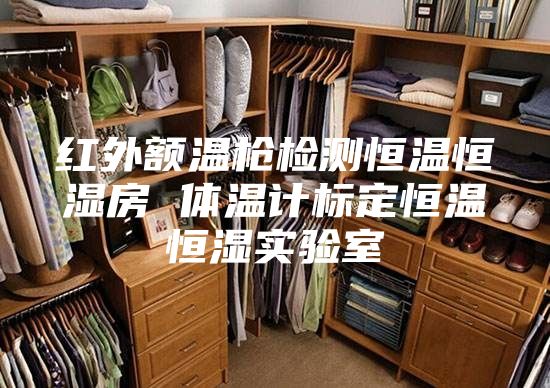 紅外額溫槍檢測恒溫恒濕房 體溫計標(biāo)定恒溫恒濕實驗室