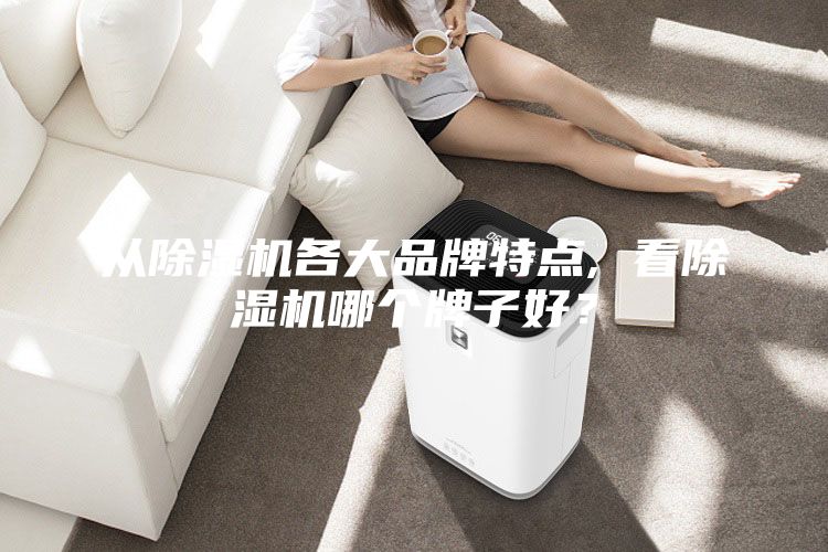 從除濕機(jī)各大品牌特點, 看除濕機(jī)哪個牌子好？