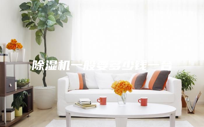 除濕機(jī)一般要多少錢(qián)一臺(tái)