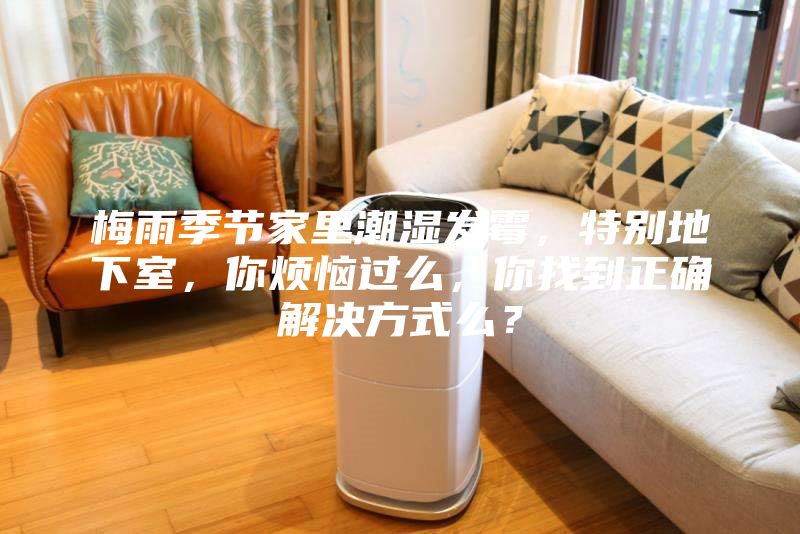 梅雨季節家里潮濕發霉，特別地下室，你煩惱過么，你找到正確解決方式么？
