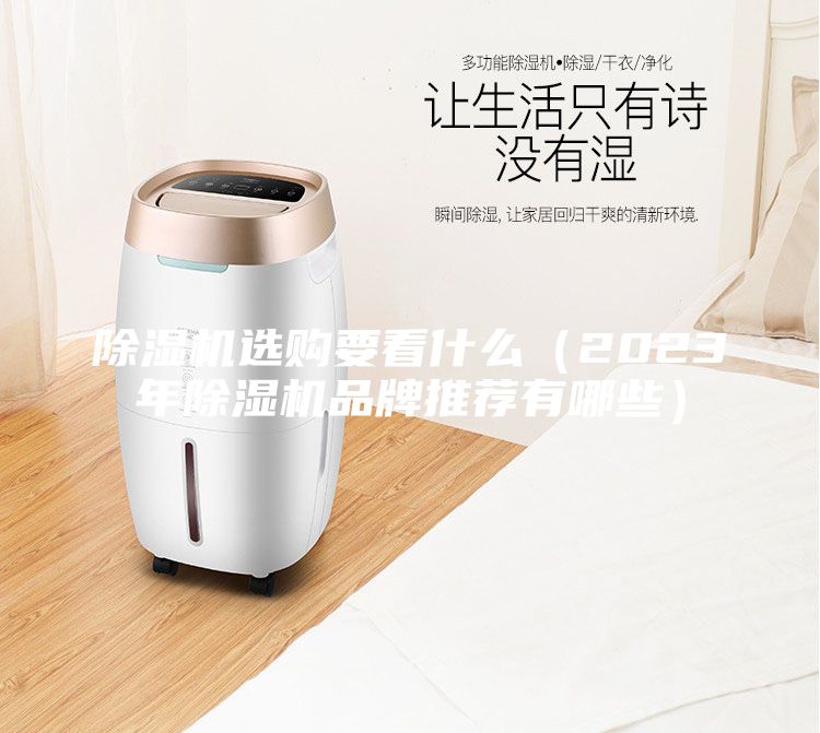 除濕機(jī)選購(gòu)要看什么（2023年除濕機(jī)品牌推薦有哪些）