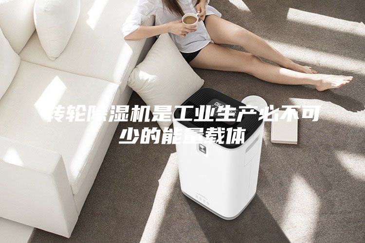 轉(zhuǎn)輪除濕機(jī)是工業(yè)生產(chǎn)必不可少的能量載體