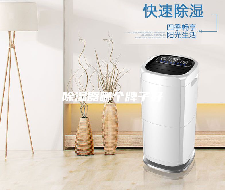 除濕器哪個牌子好