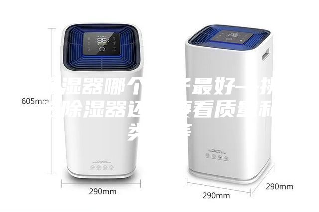 除濕器哪個(gè)牌子最好—挑選除濕器還需要看質(zhì)量和類型等