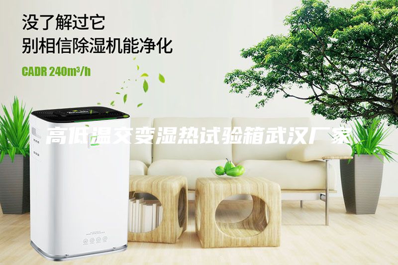 高低溫交變濕熱試驗箱武漢廠家