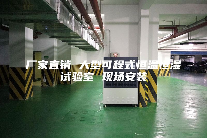 廠家直銷 大型可程式恒溫恒濕試驗室 現場安裝