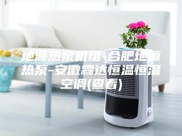 地源熱泵機組-合肥地源熱泵-安徽霖達恒溫恒濕空調(查看)